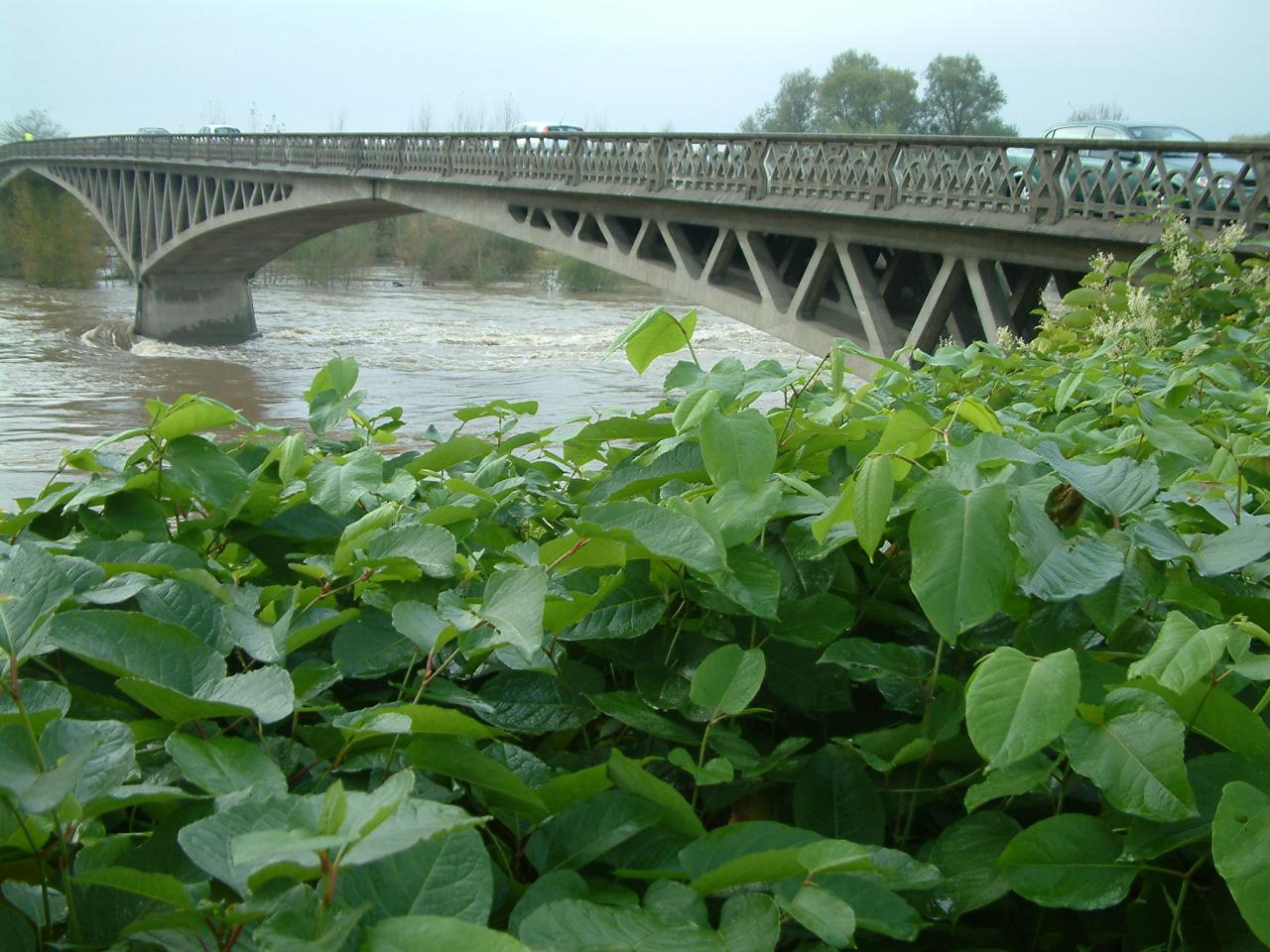 Le Pont Boutiron
