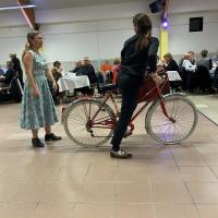 Img 4631